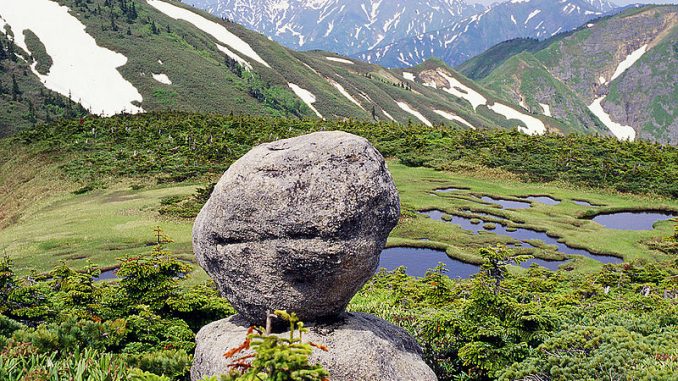 800px-Hiragatake_tamagoisi